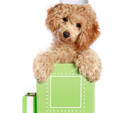 Stephanie Smallbrock