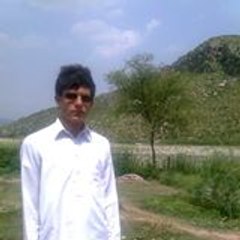 Salman Haider Jawwadi