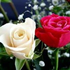 Shujat Hussian