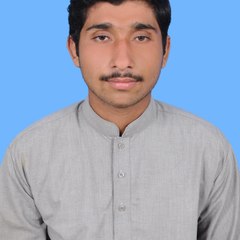 Muhammad Muzamil Hafeez
