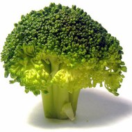 SALUD, CRUDIVORISMO EFICAZ