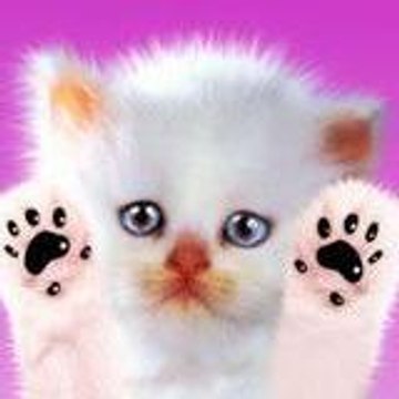 AlexKat