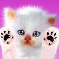 AlexKat