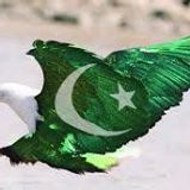 Mera Pakistan