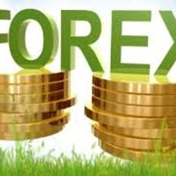 Forex Trading For Beginners