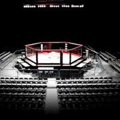 Jack Wilsons MMA Fight