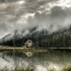 Anthony Fog