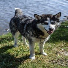 『찜알바』알바캣,대구bar알바,야알바,강남고액알바정보