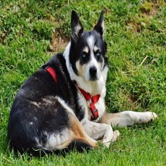 『찜알바』가라오케알바,수원고액알바,여성전용노래방,대구도우미알바정보