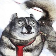 『찜알바』꿀알바,수원알바,여자고소득알바,수원고소득알바정보