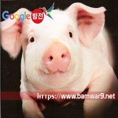 밤*의*전*쟁 인천안마시술소 강남오피 청담 건마