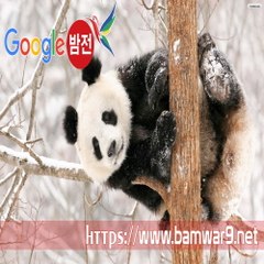 밤*의*전*쟁 강남건마 수원안마 대전 월평 립카페