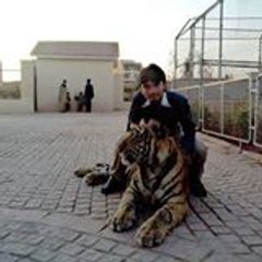 Zeeshan Vet Shani