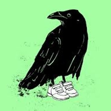 Vosk_VelCrow