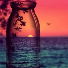 Dreamersview