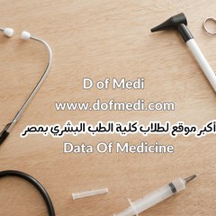 Shehab Ahmed