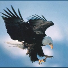 defence news