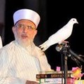 S N Hussain Concentrated