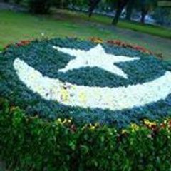 Touseef Awan