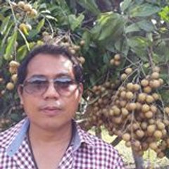 Chumphol Srisuwan