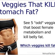 Venus Factor Diet 01