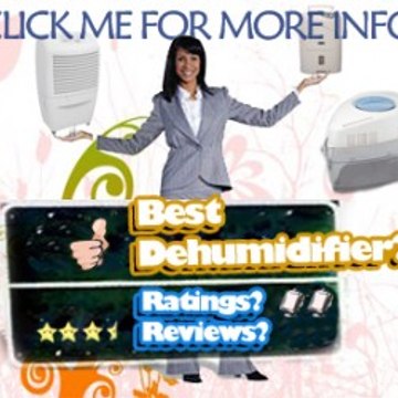 Dehumidifier Reviews