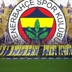 Emrecan Yücel