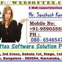 Websoftex SoftwareDevelopment