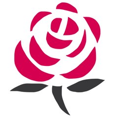 Jeunes socialistes contre l'austérité