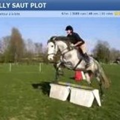 alex_isis