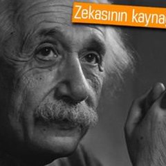 ilgincgercekler