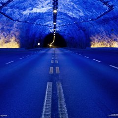 Daily Videos