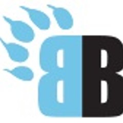 Black Bear Hartford