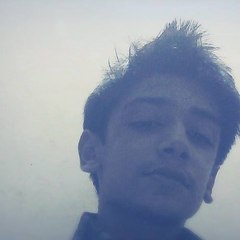 Hamzasohail37