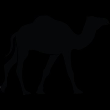Desert Morocco Tours S.A.R.L