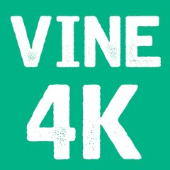VINE COMPILATIONS 4K