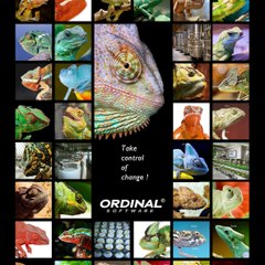ORDINAL Software