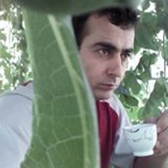 Ayhan Örnek