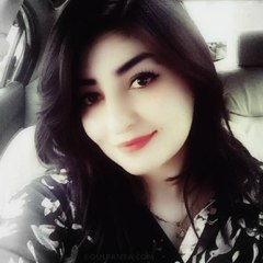 Gul Panra