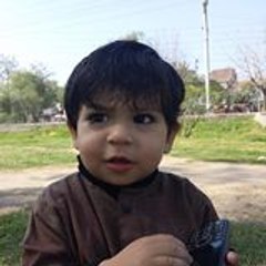Qaisar Mian