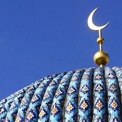 Muhammadomer2050