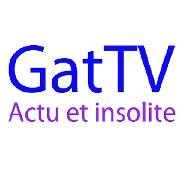 Profil DailyMotion de l’utilisateur GatTV
