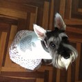 MrsLoudly