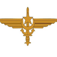 Pak Navy Seal