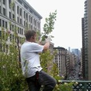 New York Plantings Landscape Designers