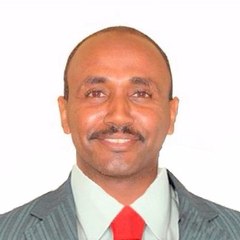 Mohamed Ali Elgaily