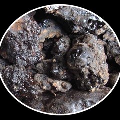 Salajeet Shilajit