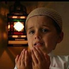 Haseeb Naul