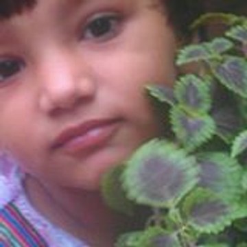 Aamir Nawaz
