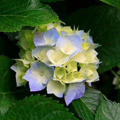Imtiaz00144